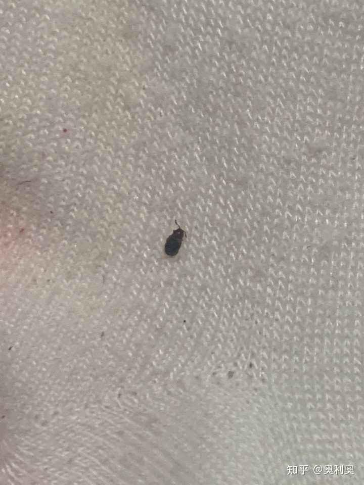 最新资讯 第50页