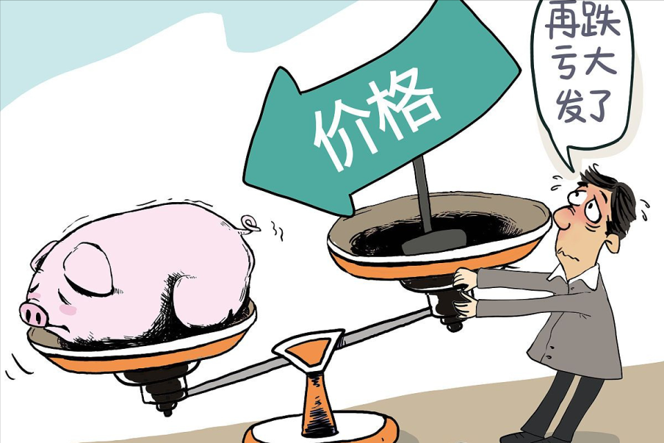 地方新闻 第22页